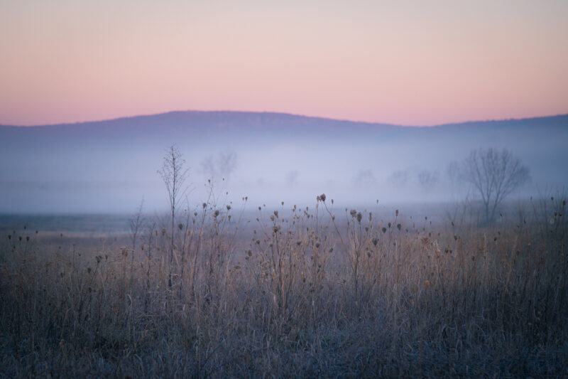 Winter Stillness